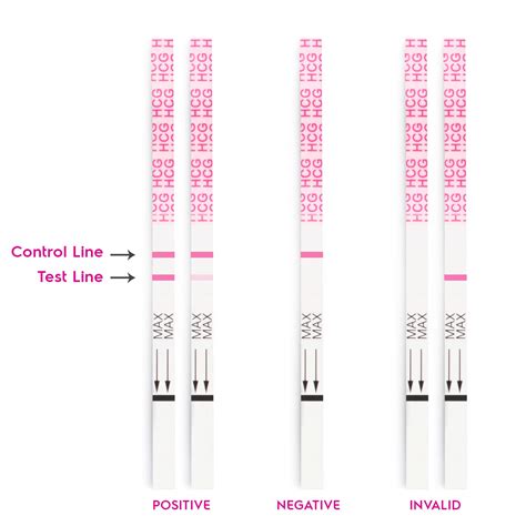 hcg pregnancy test strip positive.